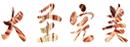 Ա